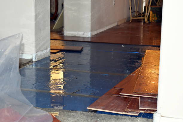 Professional Sewage Cleanup technician working in Harvey, MI
